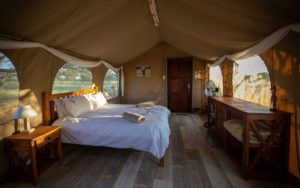 Luxury camping and glamping in the kalahari