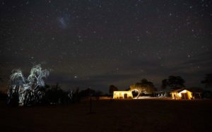 Experience stars and wildlife in africa